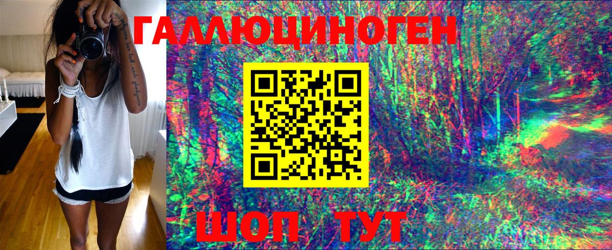 Шелехов  Псилоцибиновые грибы Cubensis  Вход с VPN 